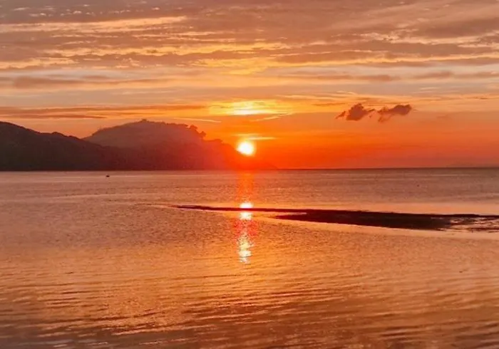 Carla Modern Oasis And Comfort