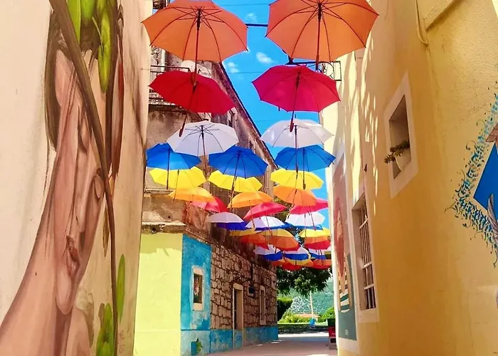 Carla Modern Oasis And Comfort Opuzen