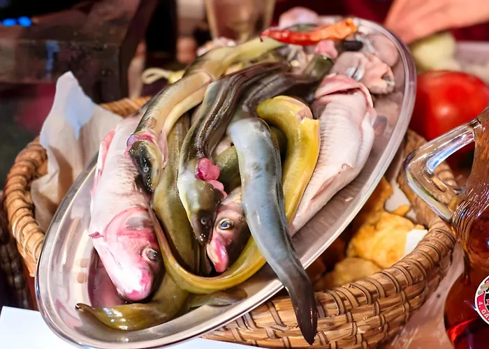 Carla Modern Oasis And Comfort