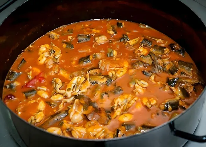 Carla Modern Oasis And Comfort