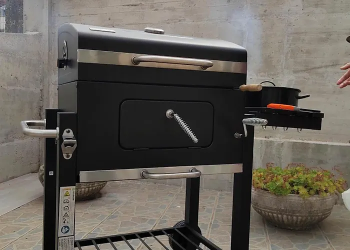 Carla Modern Oasis And Comfort