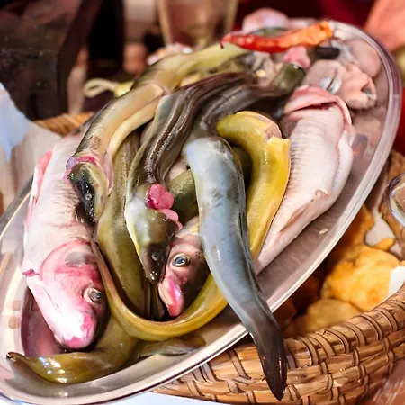 Carla Modern Oasis And Comfort