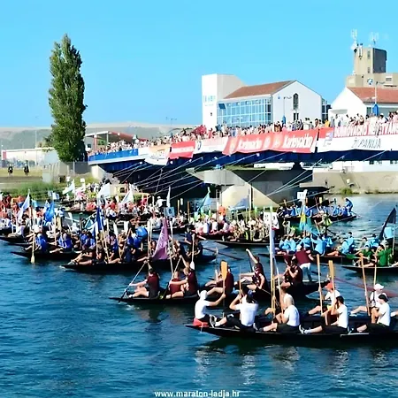 Carla Modern Oasis And Comfort Appartamento *