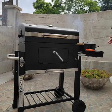 Carla Modern Oasis And Comfort