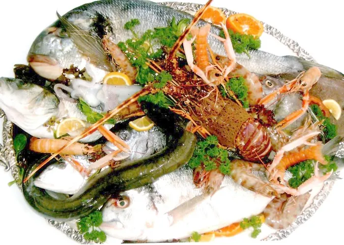 Carla Modern Oasis And Comfort